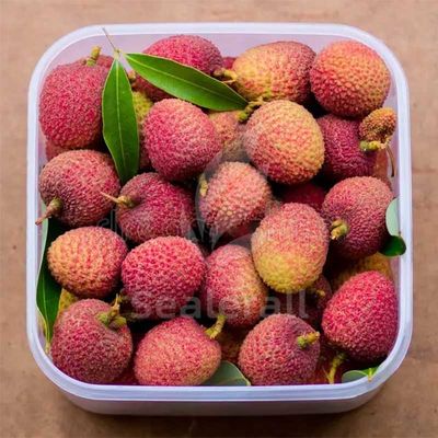 खरीदें ताजा लिची के लिए स्टेनलेस स्टील संशोधित वायुमंडल पैकेजिंग मशीन ऑनलाइन निर्माण